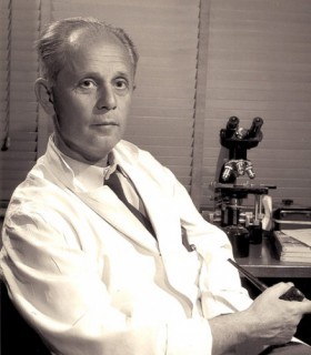 Selye János
