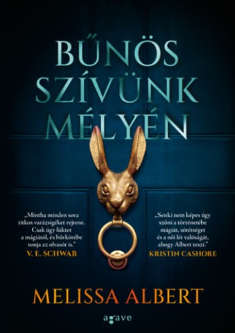 a könyv borítója