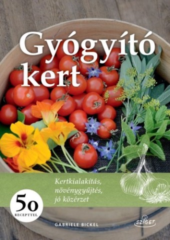 a könyv borítója