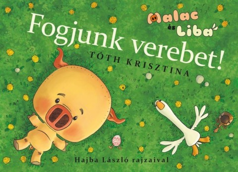 borító kép