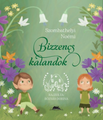 a könyv borítója