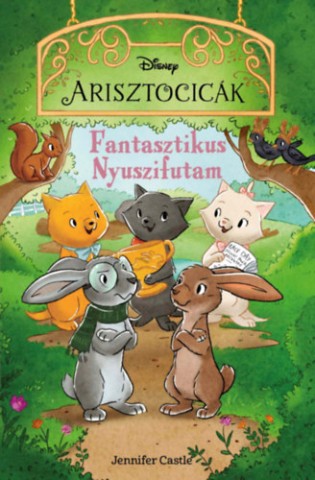 a könyv borítója