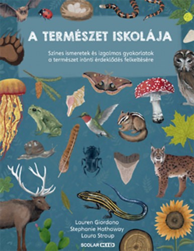 a könyv borítója