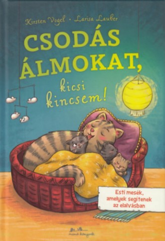 a könyv borítója