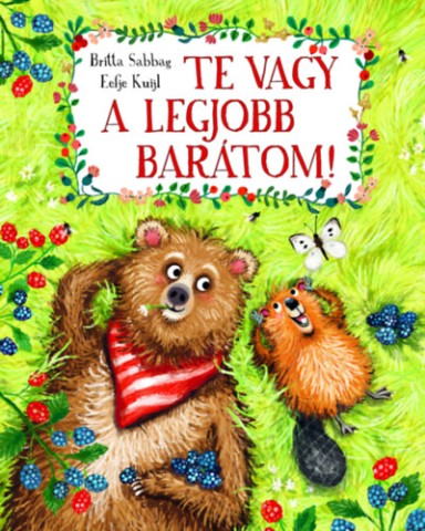 a könyv borítója