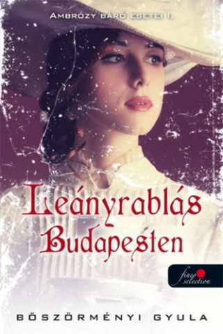 A könyv borítója