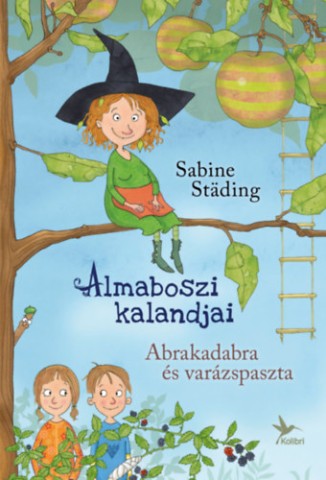 a könyv borítója