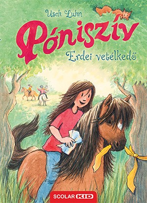 a könyv borítója