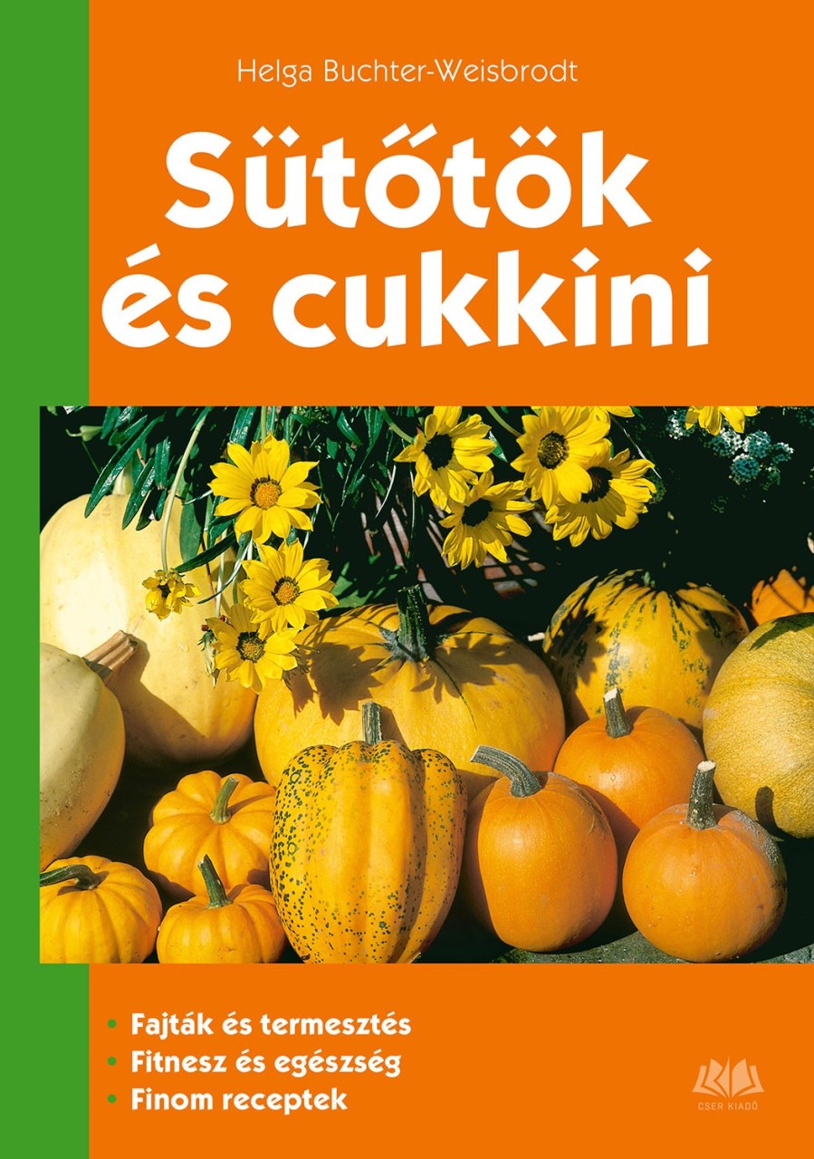 A könyv borítója