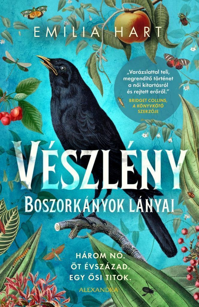 A könyv borítója