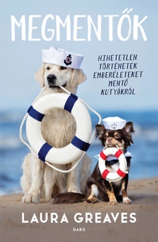 a könyv borítója