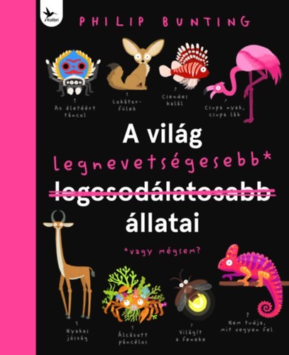 a könyv borítója