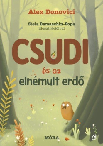 a könyv borítója