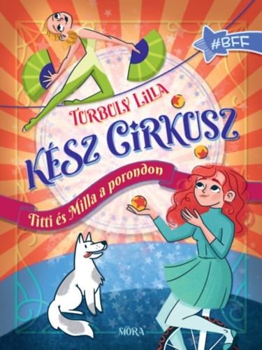 a könyv borítója