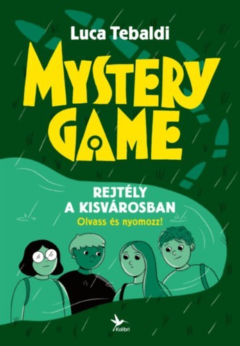 a könyv borítója