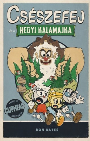 a könyv borítója