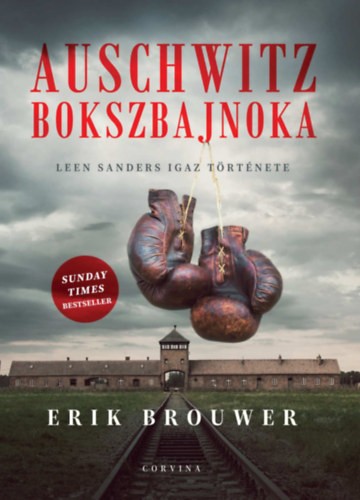 A könyv borítója