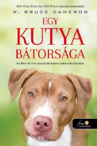 A könyv borítója