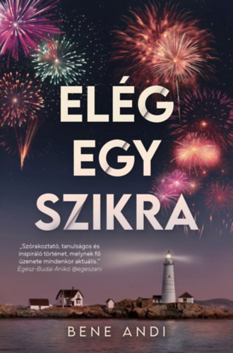 A könyv borítója