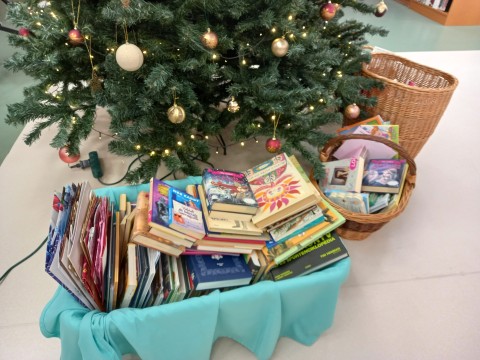 Sok-sok könyvet helyeztek el az olvasóink a fa alatt.