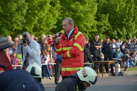Győrfi Pál