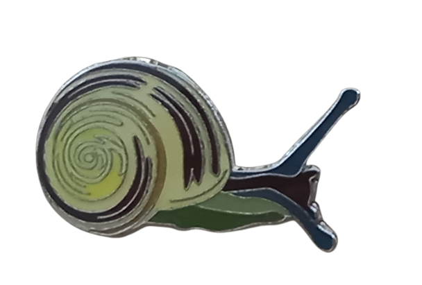 keri csiga