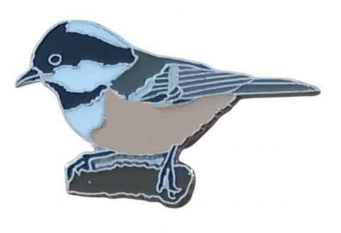 fenyvescinege